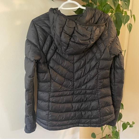 Paradox Jackets & Coats Paradox Costco Puffer Jacket Poshmark